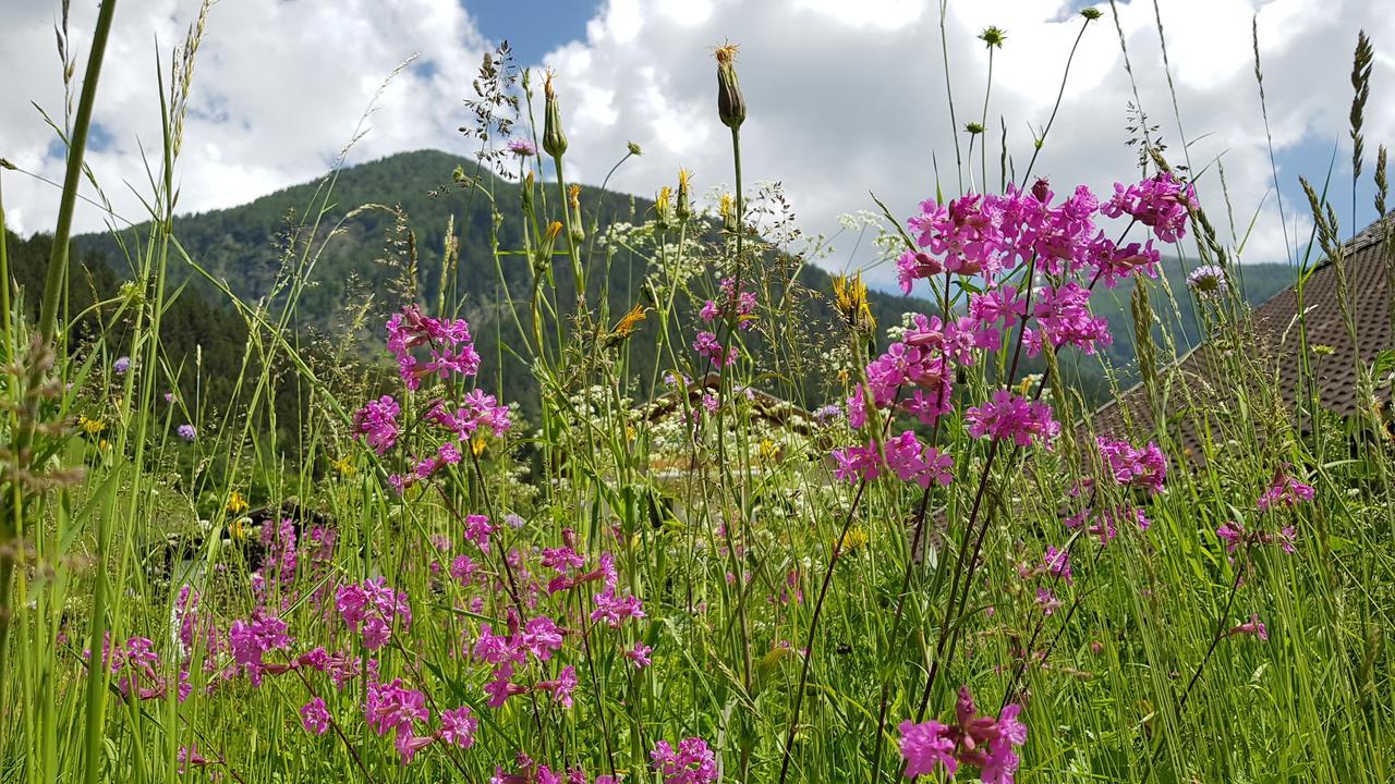 Gasthof Fair Mörtschach Dış mekan fotoğraf
